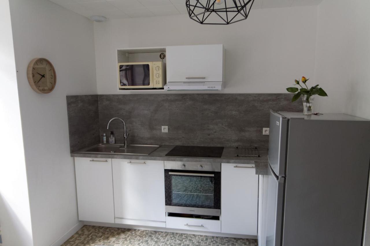 Villa Jean Julien - Le Sancy - Appartement T3 - 65M2 - 8 Personnes Mont-Dore Exterior foto